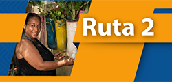 Ruta 2