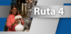 Ruta 4